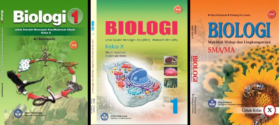 buku biologi kelas 12